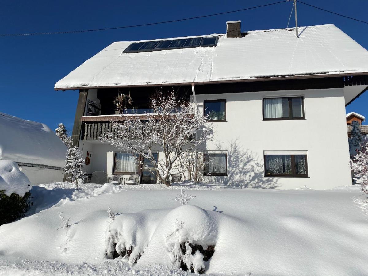 Haus Janssen-Wehrle Lejlighed Titisee-Neustadt Eksteriør billede