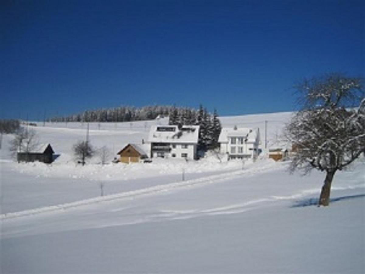 Haus Janssen-Wehrle Lejlighed Titisee-Neustadt Eksteriør billede
