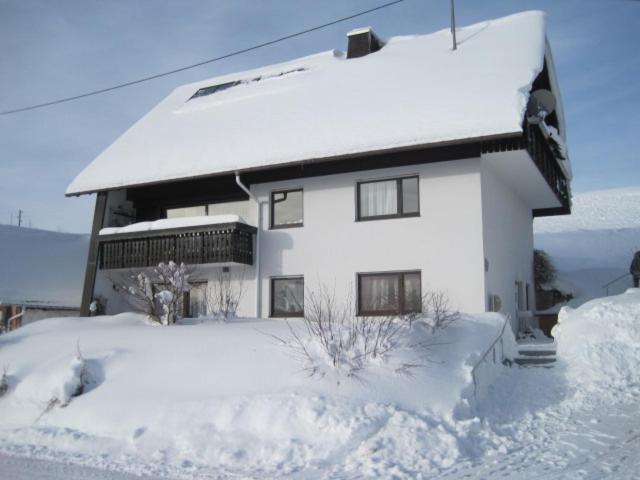 Haus Janssen-Wehrle Lejlighed Titisee-Neustadt Eksteriør billede