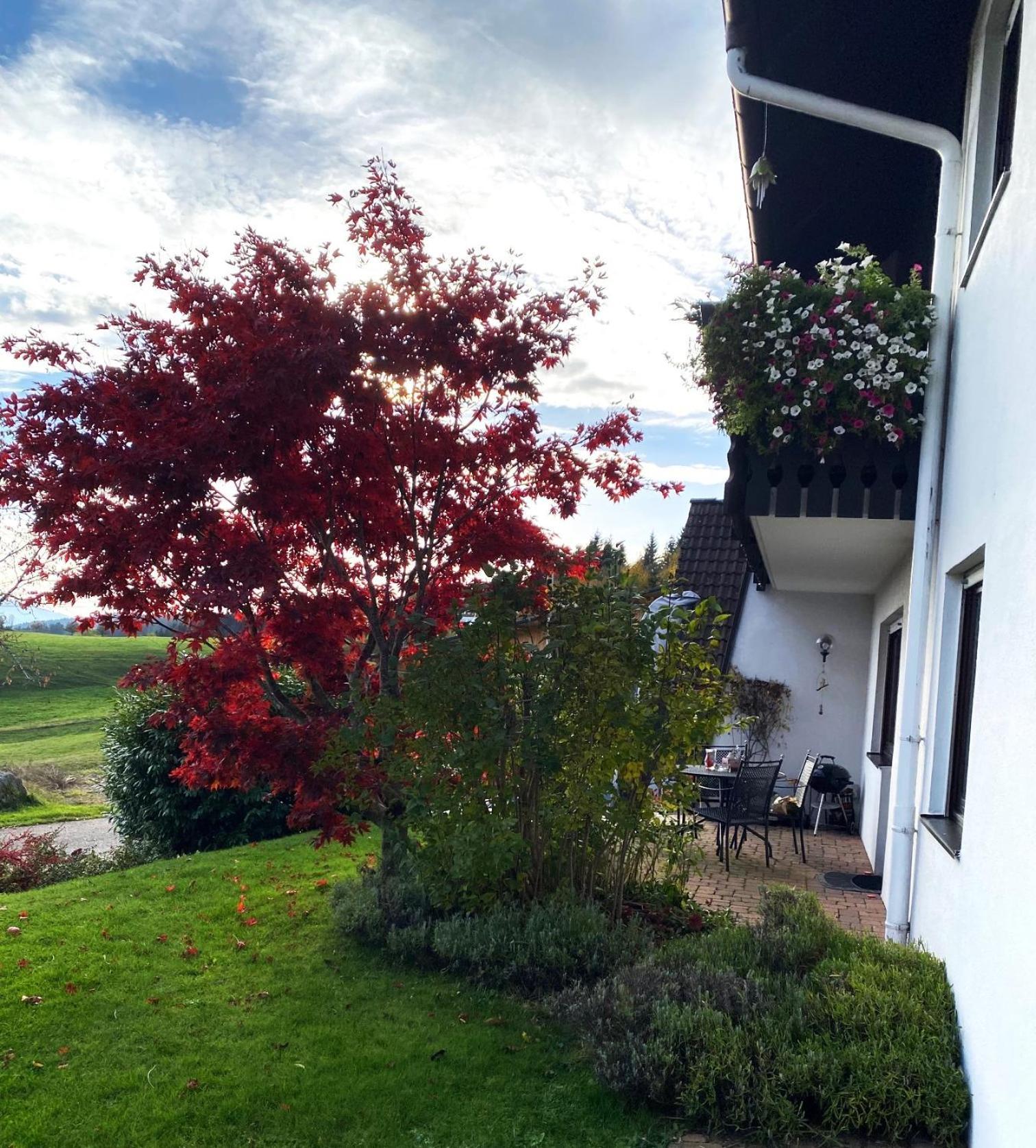 Haus Janssen-Wehrle Lejlighed Titisee-Neustadt Eksteriør billede